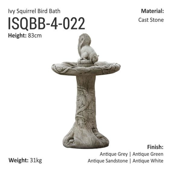 IvySquirrelBB_ISQBB-4-022